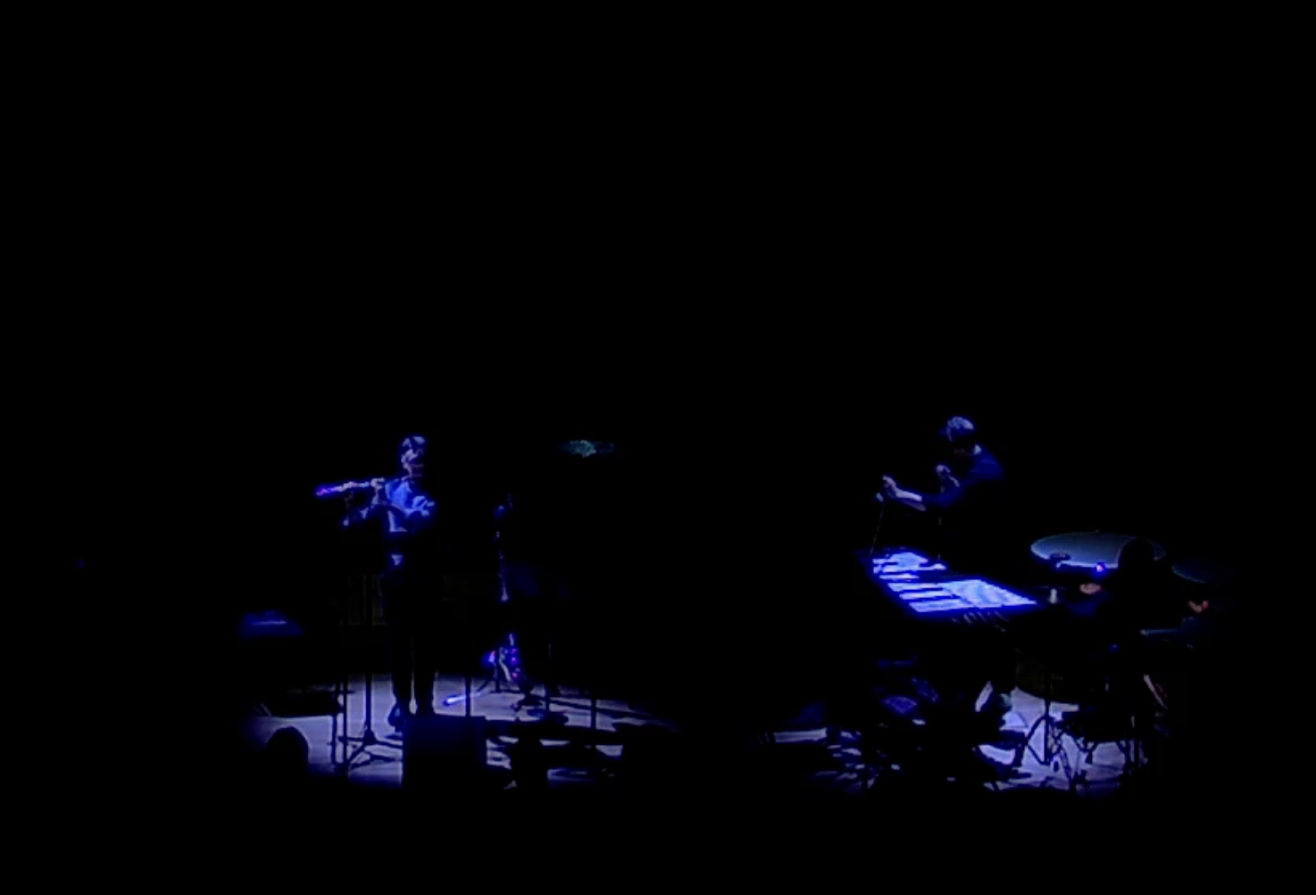 Noise Floor (of an ear) Riot Ensemble, duet
