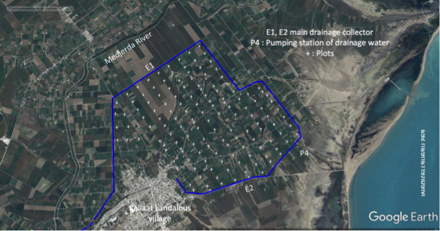 Experimental field (Tunisia)
