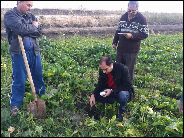 Salinity measurements conducted by using WET Sensor (Egypt)