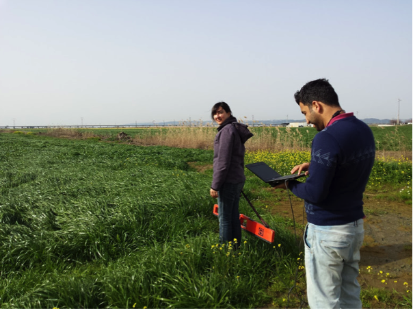 Field measurements (Portugal)