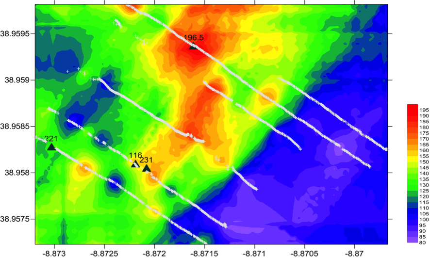 Preliminary ECa map (VDM in mS/m) carried out in Lezírias (Portugal)