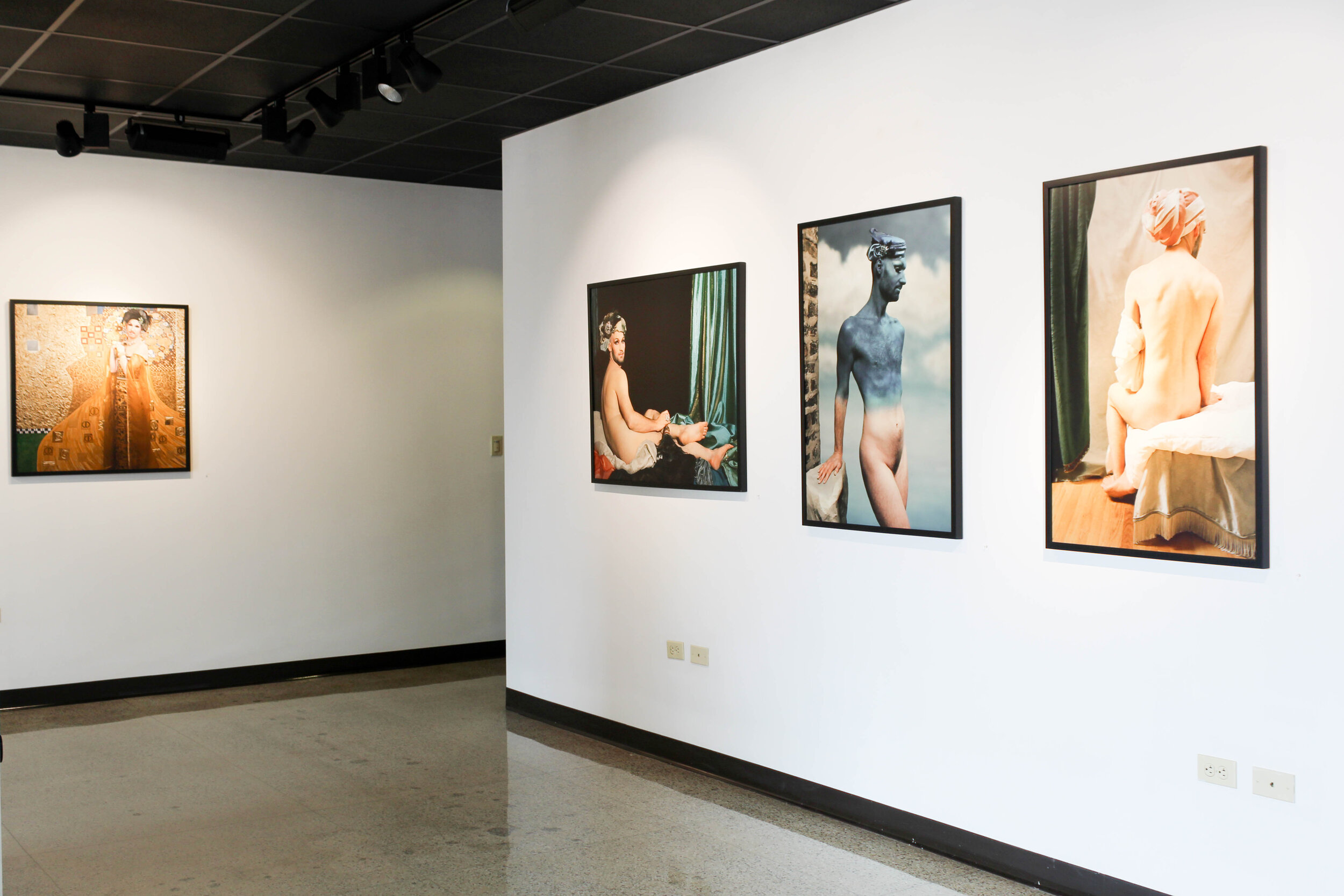  Muse (installation view)  University of St. Francis Art Gallery 2020 