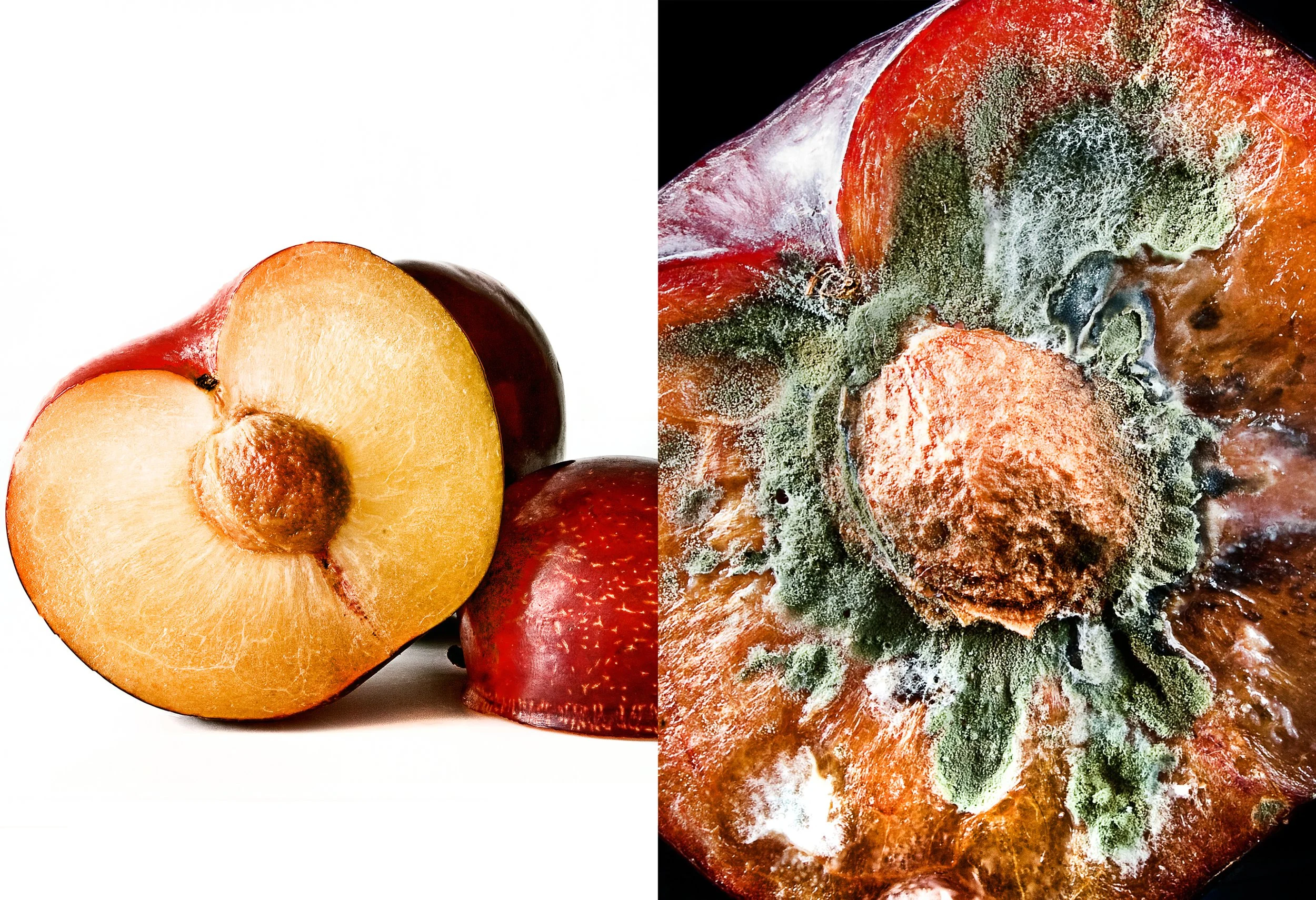 Student: Mike Tallarito Project: Unconventional Still Life Class: Advanced Studio Lighting In my advanced lighting course, students were tasked with creating an unconventional still life. Mike, a student with a strong interest in commercial food ph