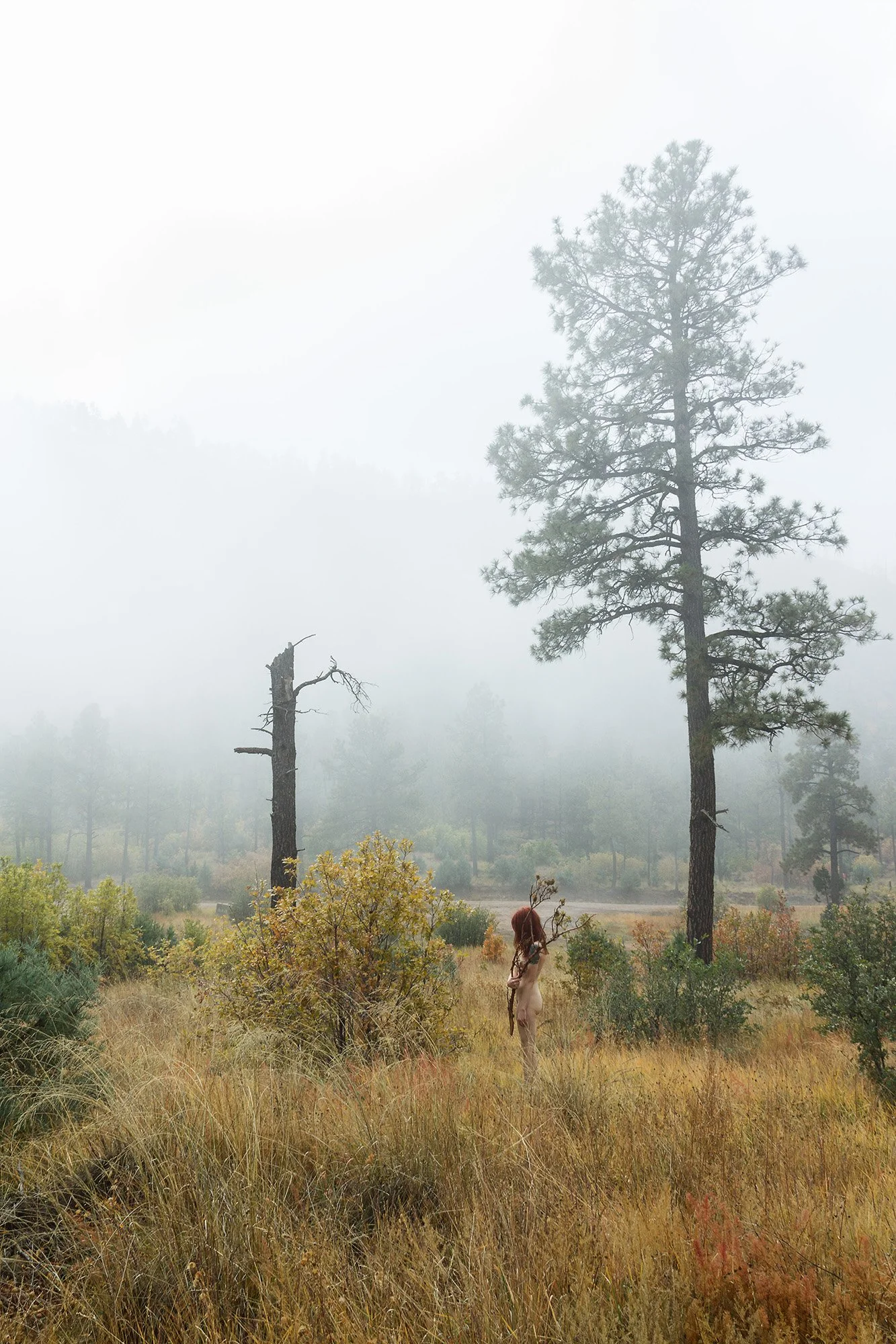 Student: Laine Heuer Project: Portfolio Class: Senior Thesis / Portfolio This project was developed as Laine’s BFA Senior Thesis and Portfolio Project. Her work explored connections between womanhood, female sexuality, and the natural world, with p
