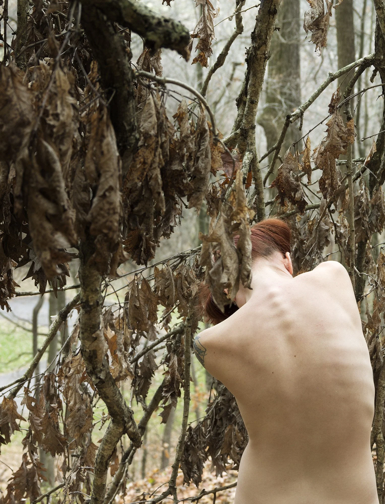 Student: Laine Heuer Project: Portfolio Class: Senior Thesis / Portfolio