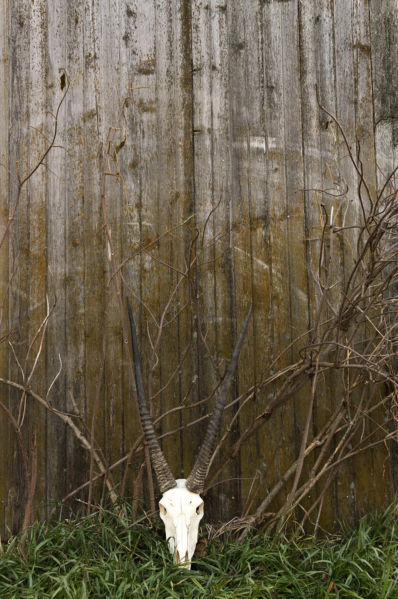 Student: Laine Heuer Project: Portfolio Class: Senior Thesis / Portfolio