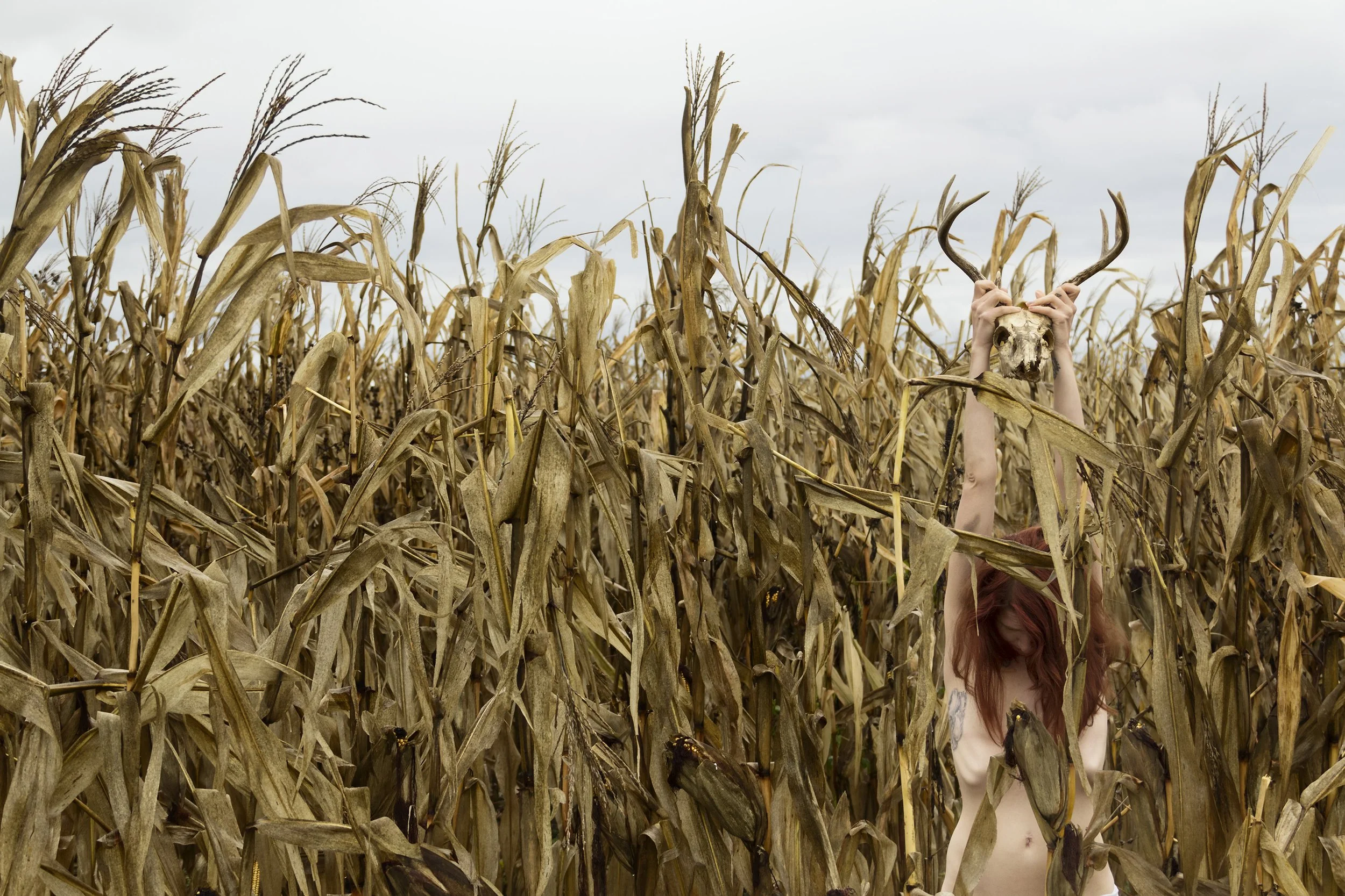 Student: Laine Heuer Project: Portfolio Class: Senior Thesis / Portfolio