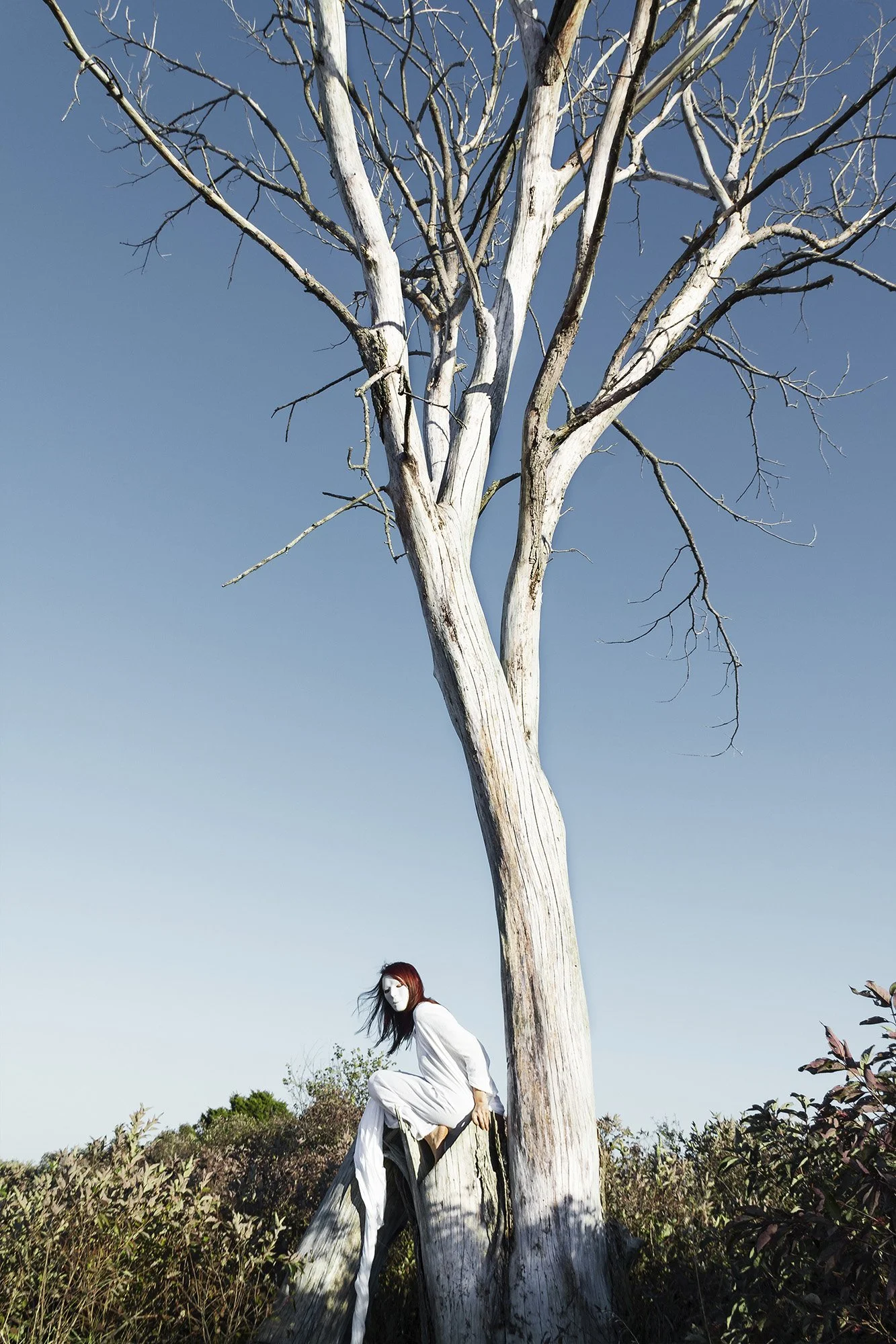 Student: Laine Heuer Project: Portfolio Class: Senior Thesis / Portfolio
