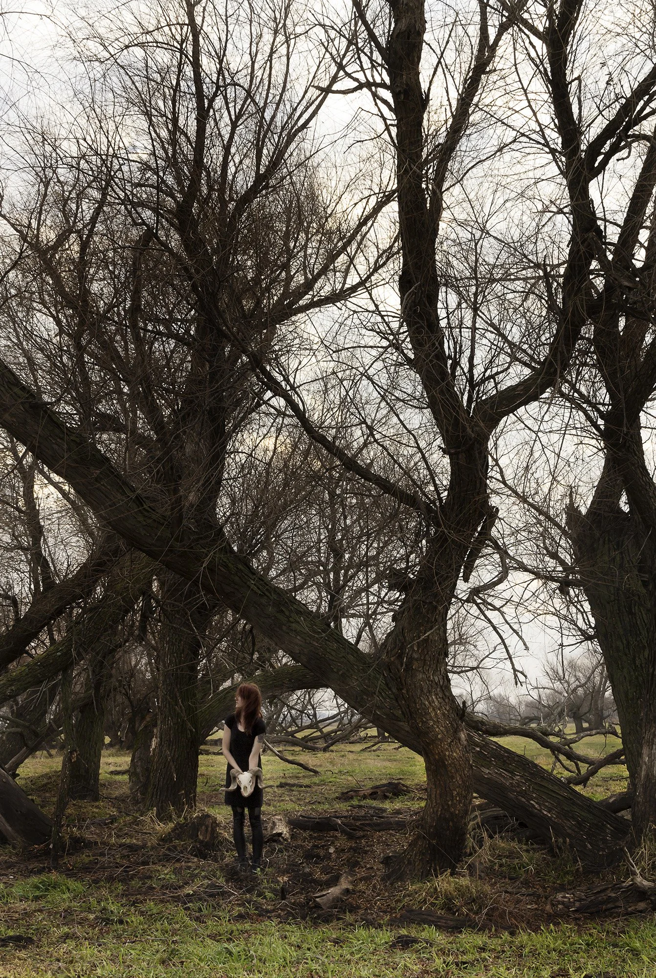 Student: Laine Heuer Project: Portfolio Class: Senior Thesis / Portfolio