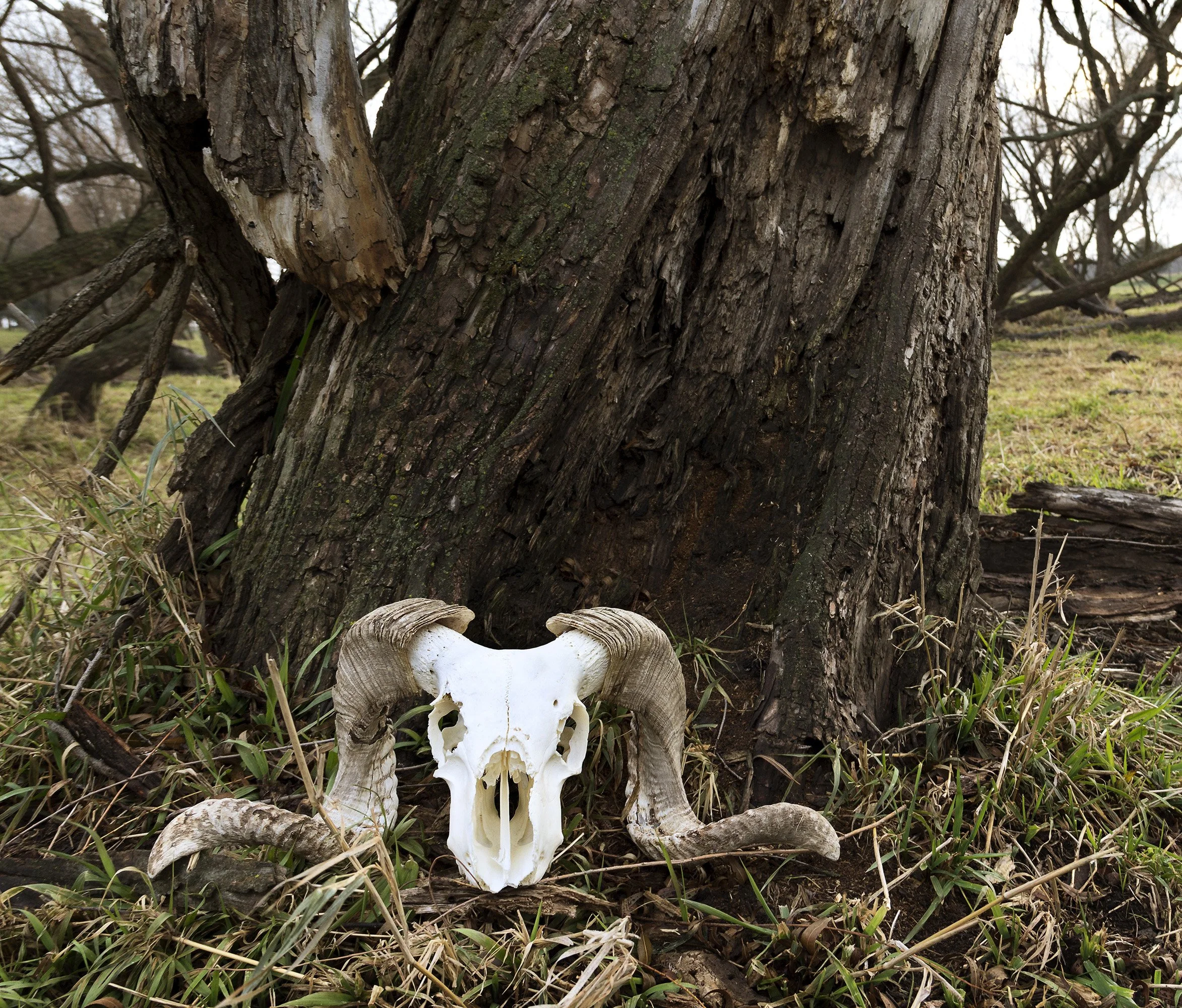 Student: Laine Heuer Project: Portfolio Class: Senior Thesis / Portfolio