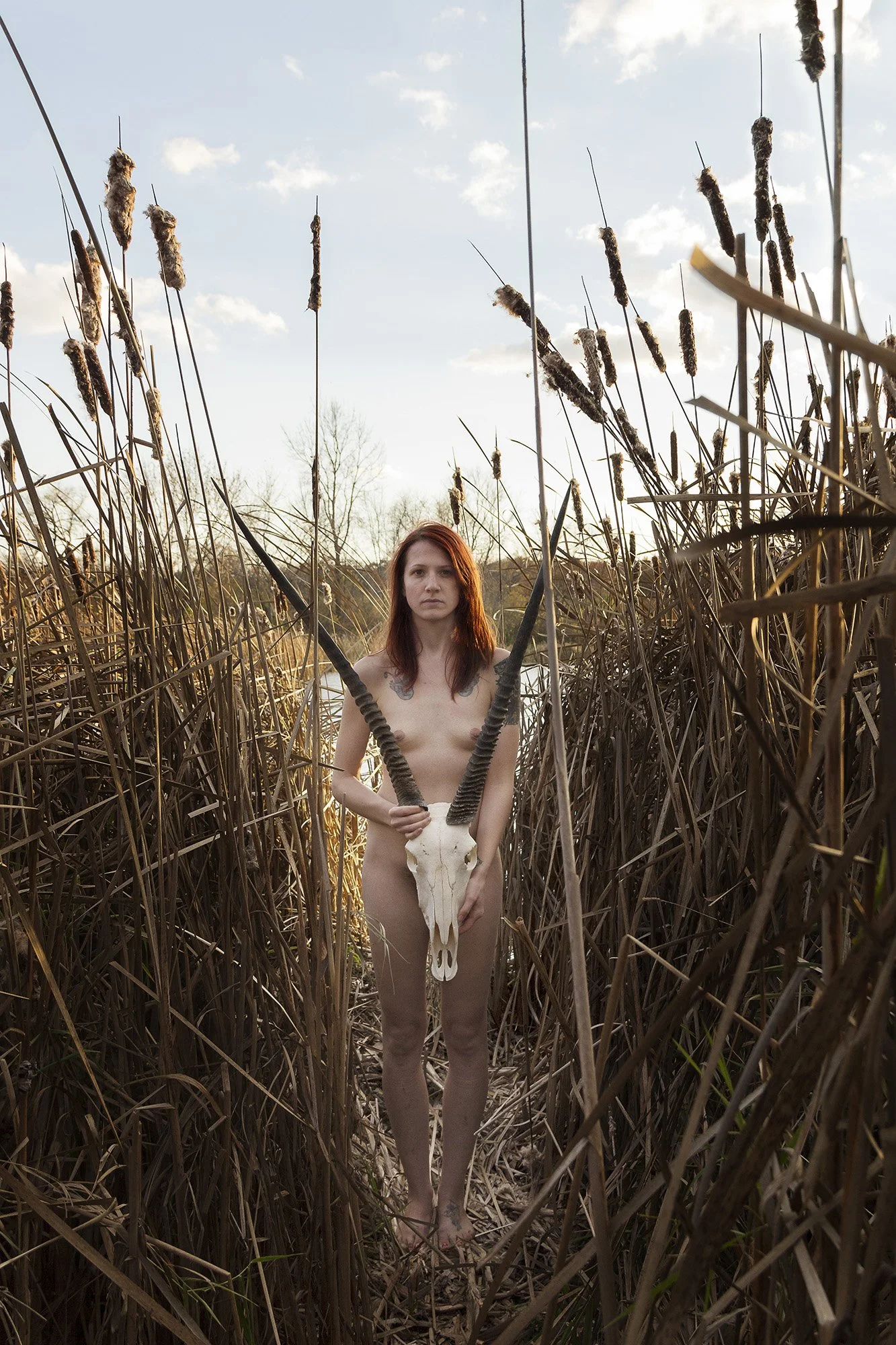 Student: Laine Heuer Project: Portfolio Class: Senior Thesis / Portfolio