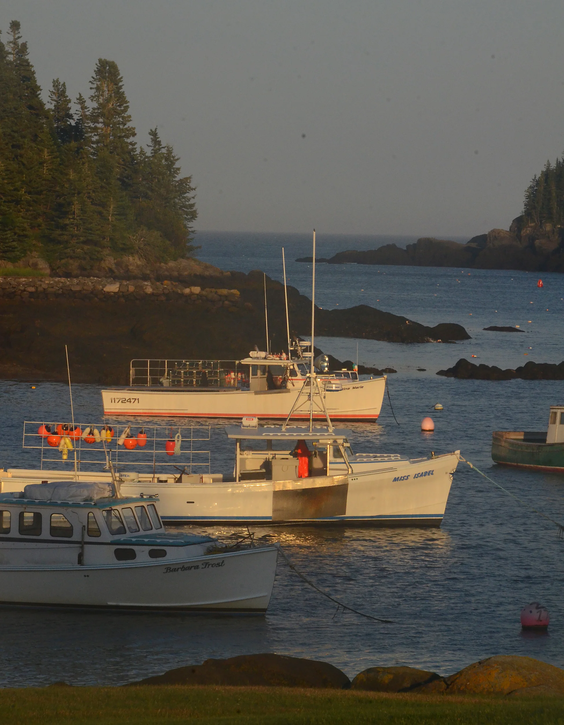 Downeast