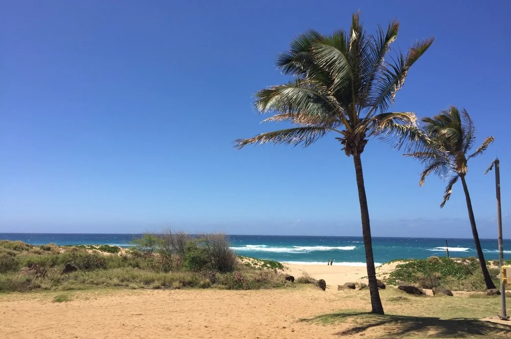 My drive to Polihale beach in Kauai