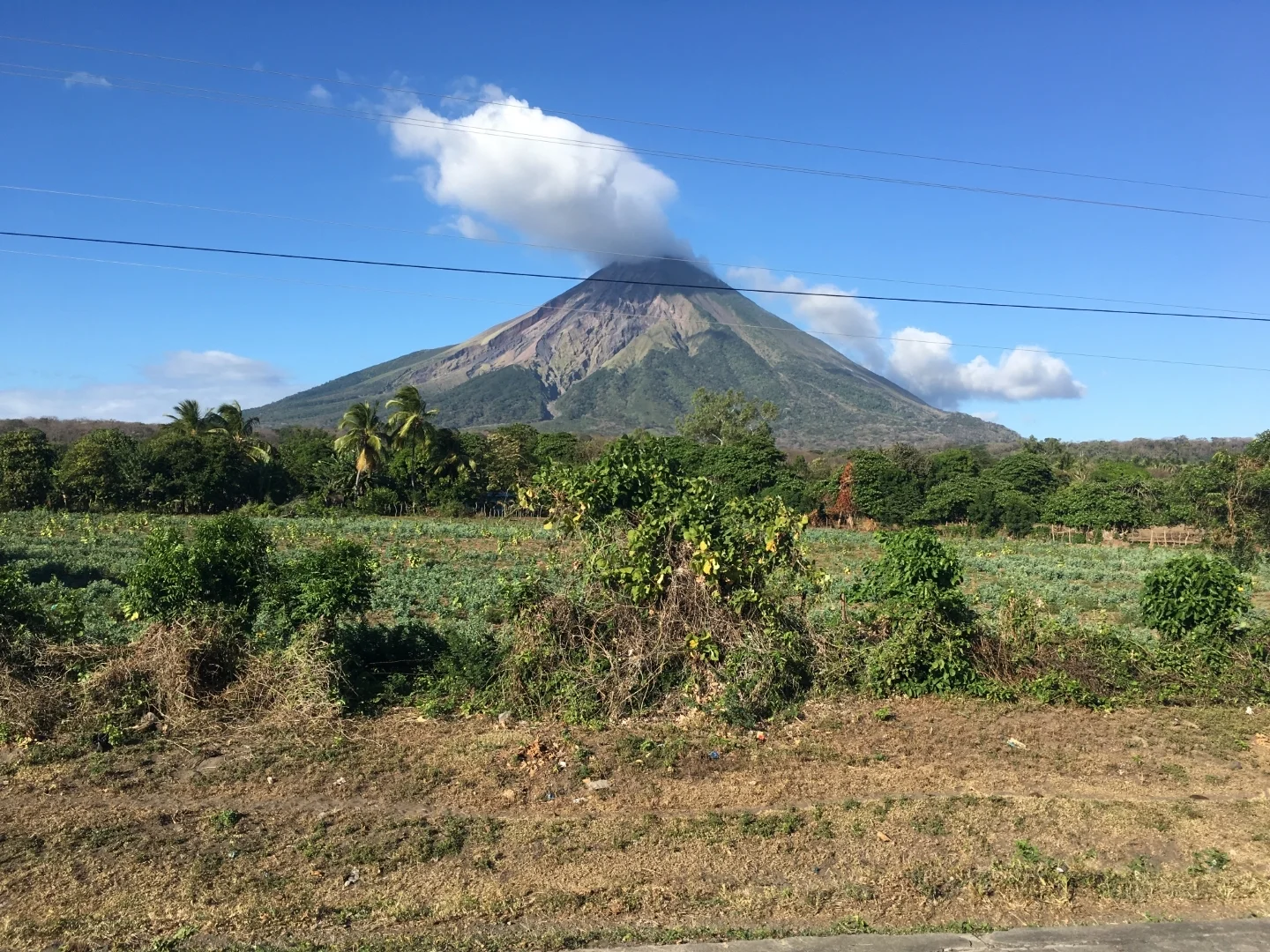 IMG_6240 (1920).jpeg