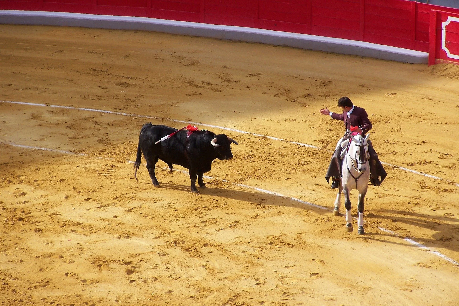 corrida-2741511_1920.jpg