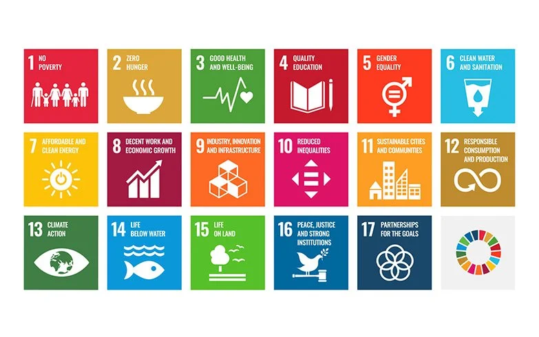 UN Sustainable Development Goals