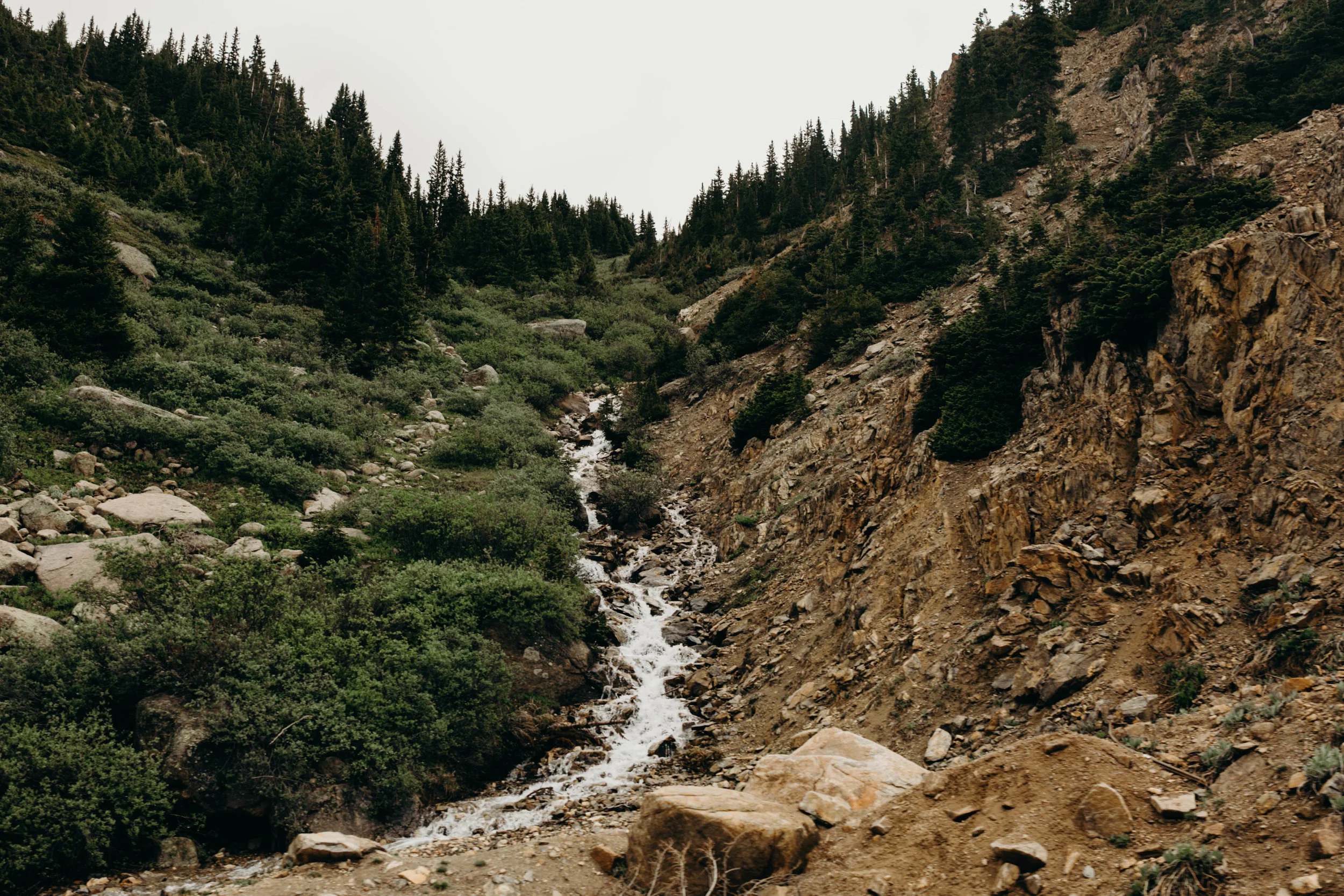 aspen-54.jpg