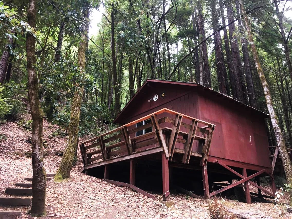 cabins.jpg