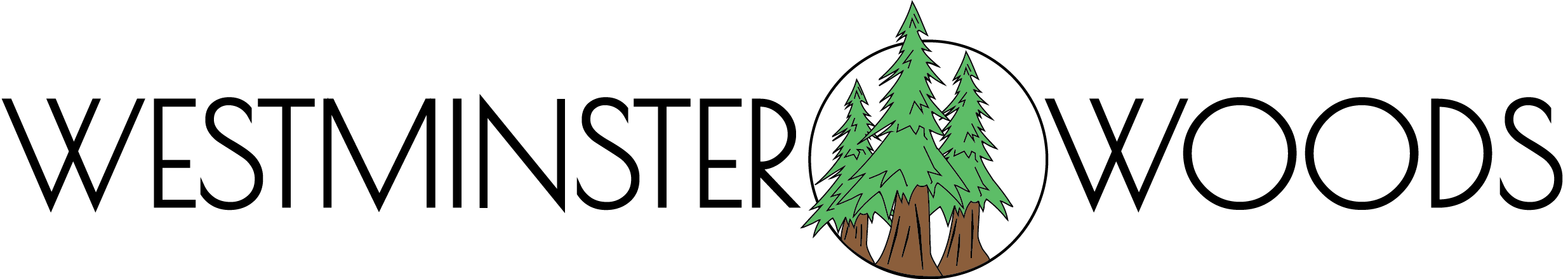 Color Word Mark 2.png