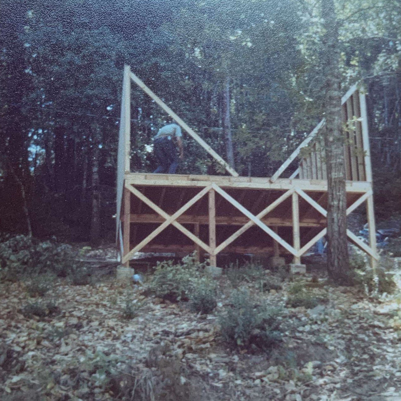 Cabin construction in the 1980's