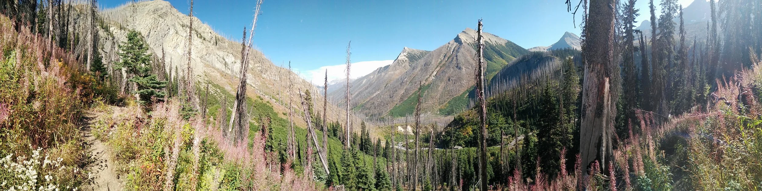 Stunning views leading up to Floe Lake!