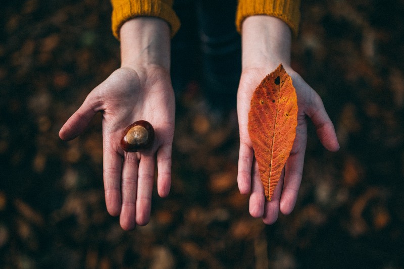 Photo by Felix Russell-Saw on Unsplash