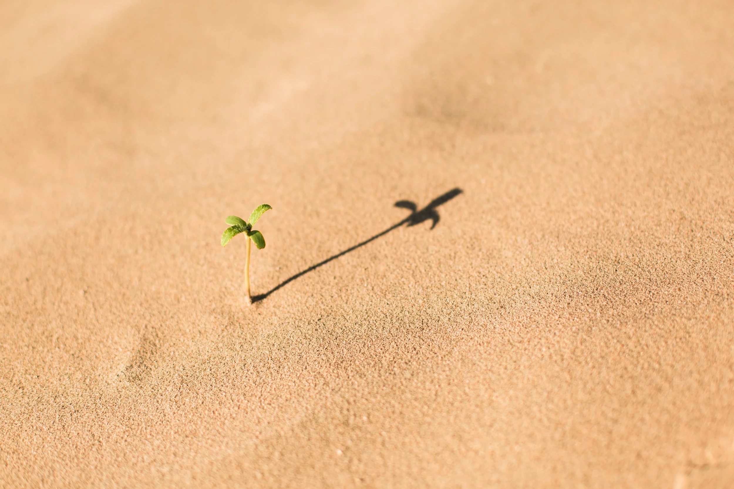 Photo by Evan Kirby on Unsplash