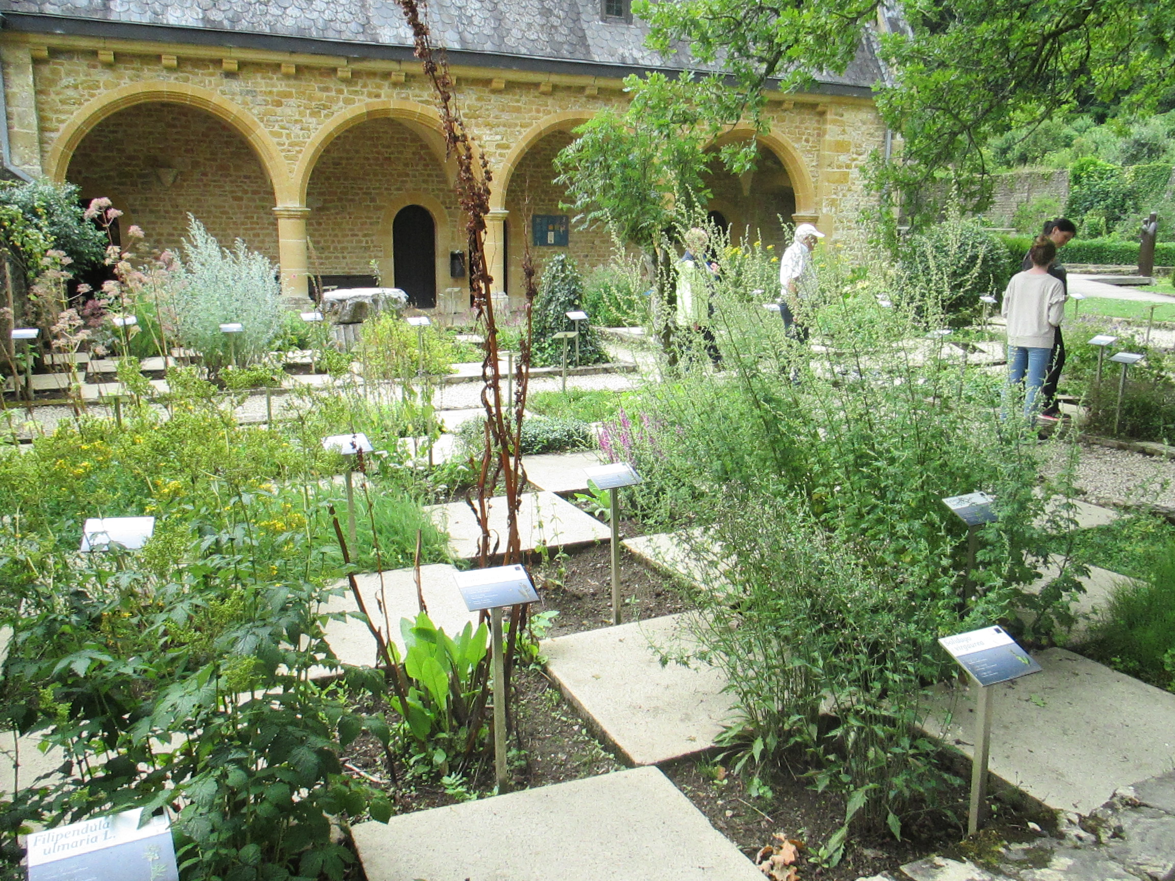 images-1.jpg