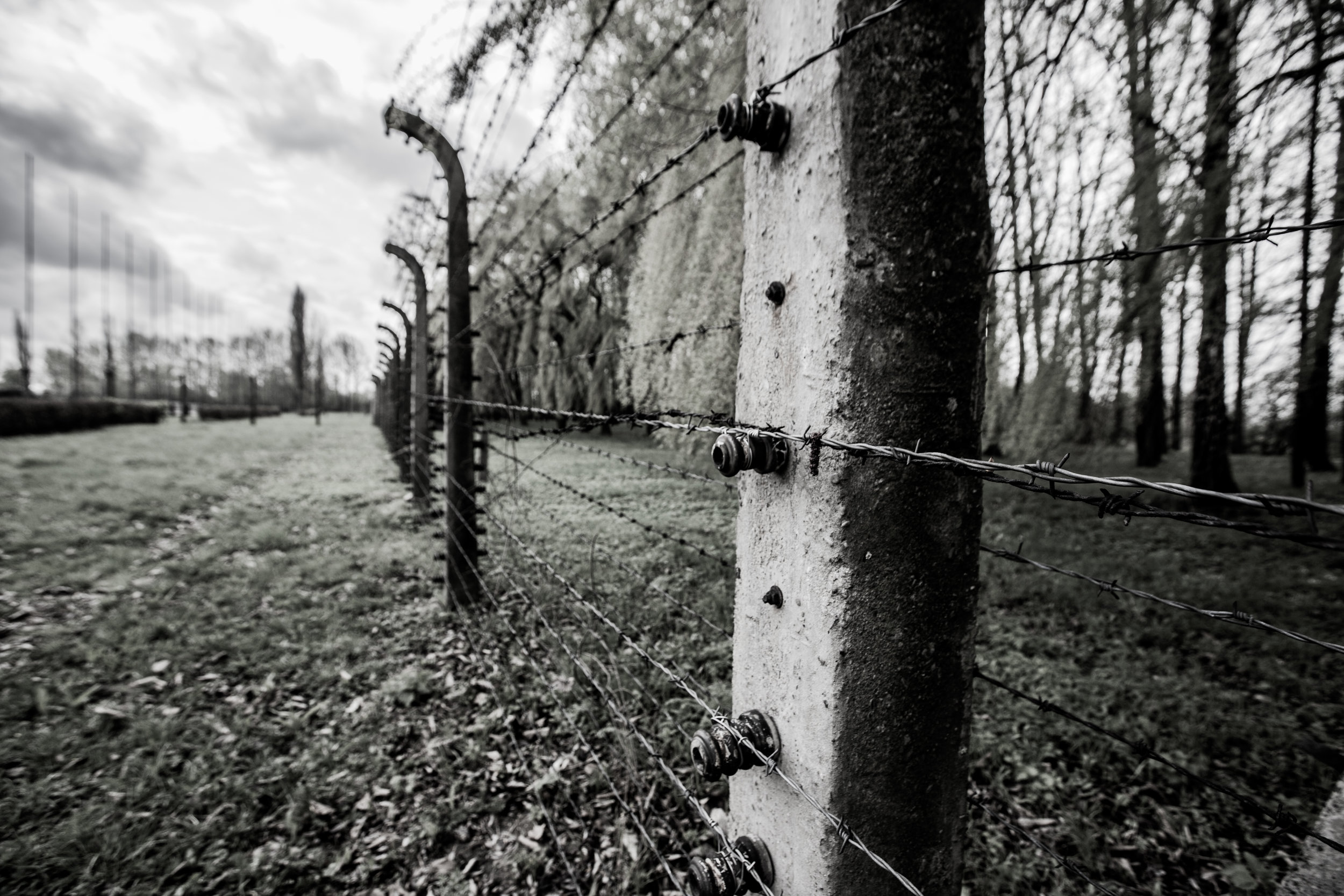 6000 VOLTS, ELECTRIFIED FENCE