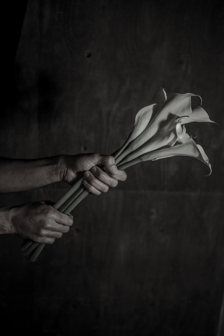 CALLA LILLIES