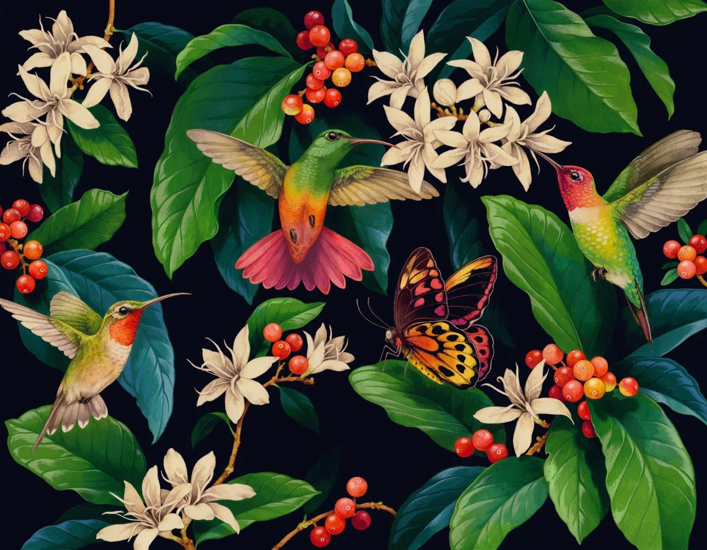 Curated visual reference: Utopian Coffee Photo Inspiration