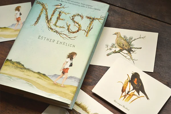 Nest4.jpg