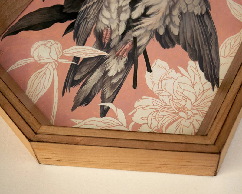 framed2.jpg