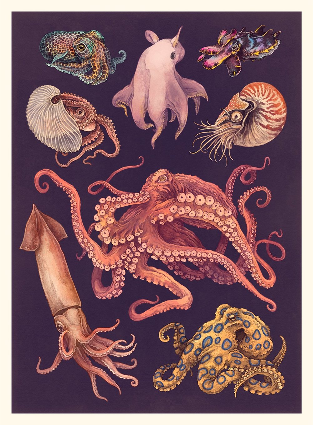 oceanarium book main image 0