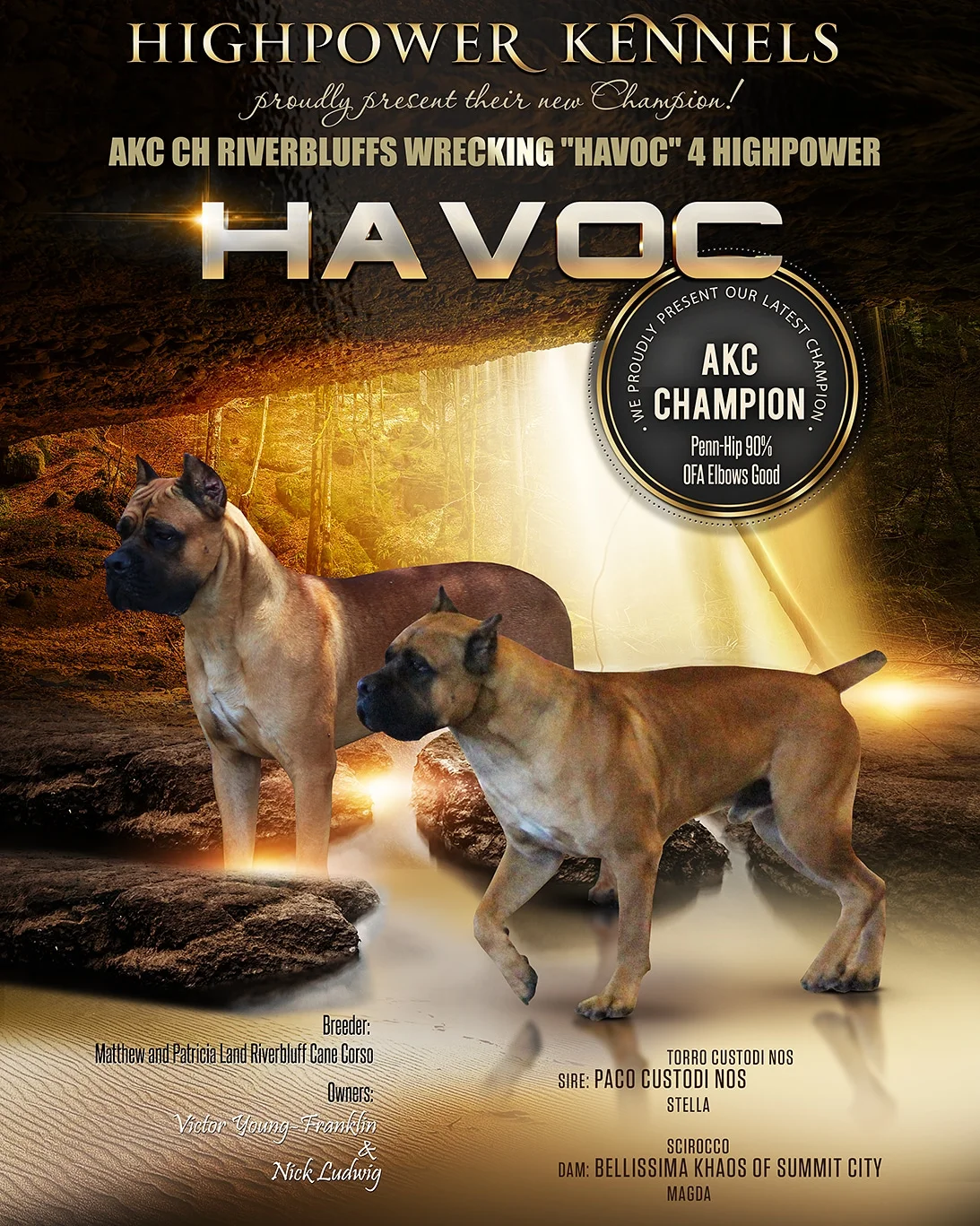 High Power Kennels