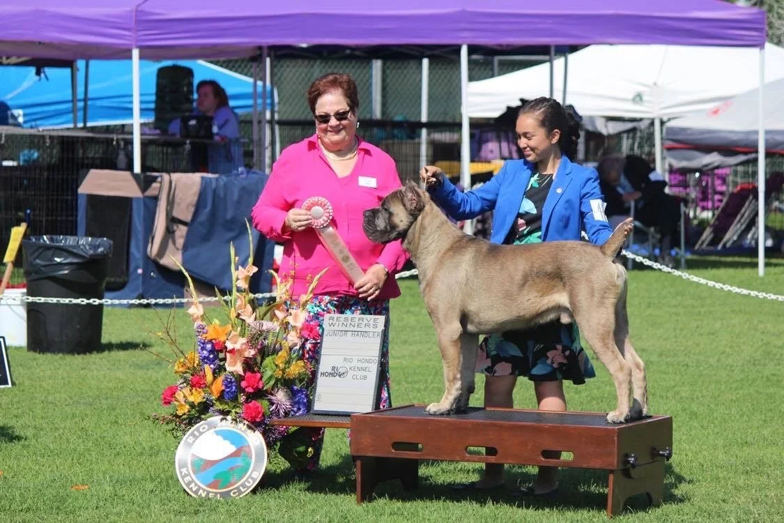 ROCKY, HIGH POWER KENNELS DOGS
