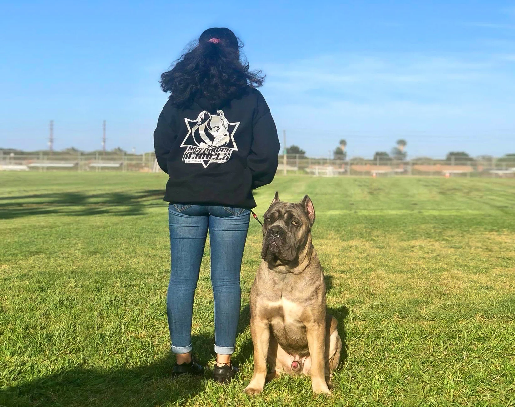 ROCKY, HIGH POWER KENNELS DOGS