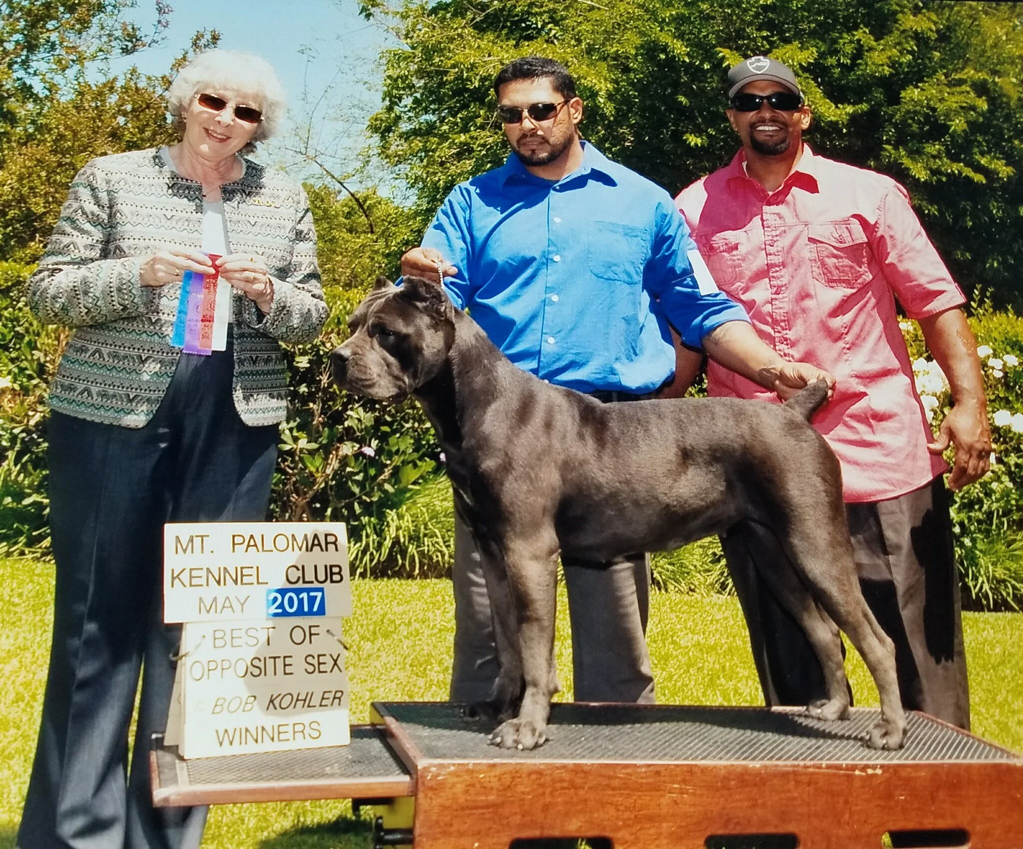 Maximos Giovanna, HIGH POWER KENNELS DOGS