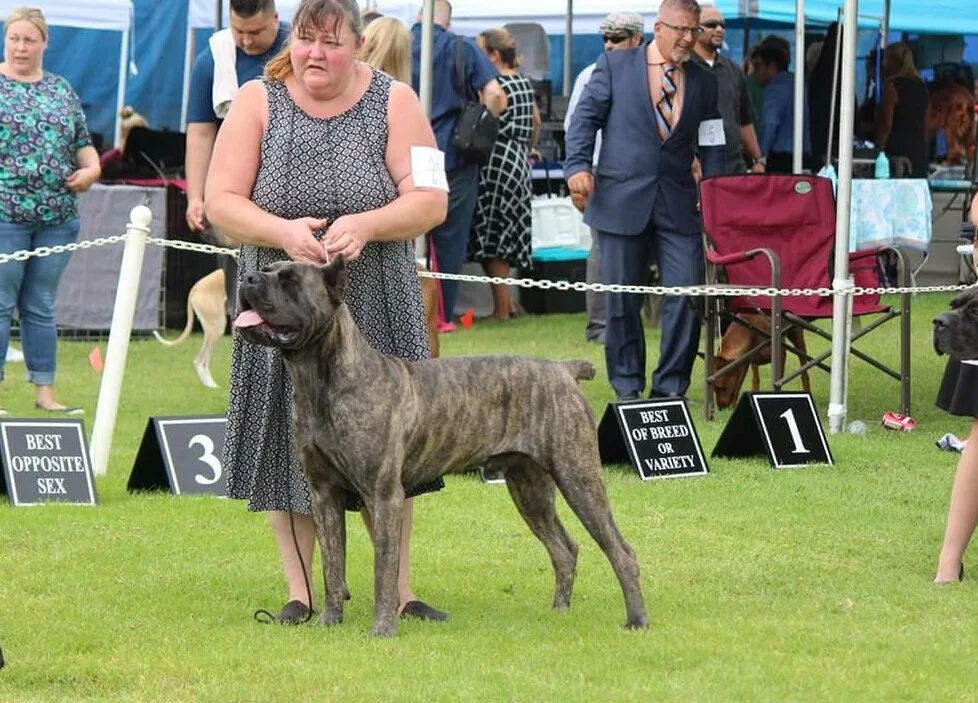Stryker, HIGH POWER KENNELS DOGS