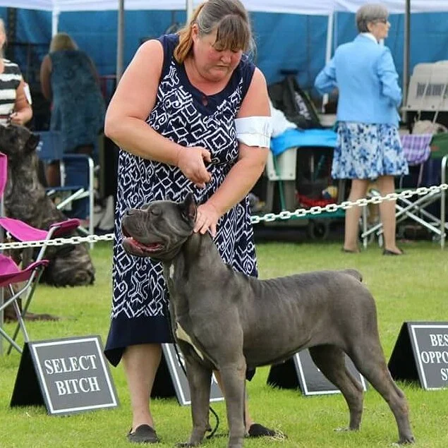 QUEEN ELSA, HIGH POWER KENNELS DOGS