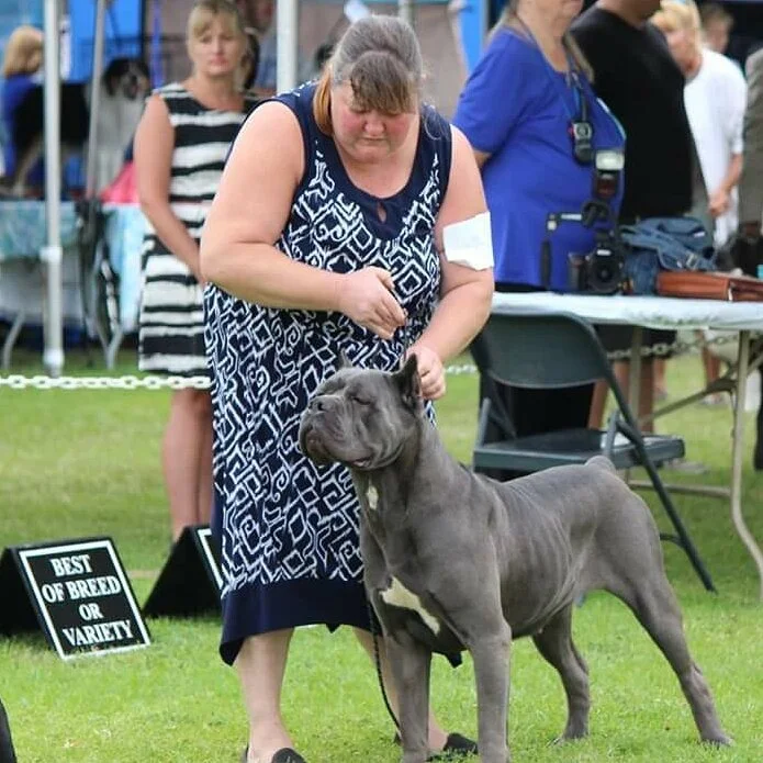 QUEEN ELSA, HIGH POWER KENNELS DOGS