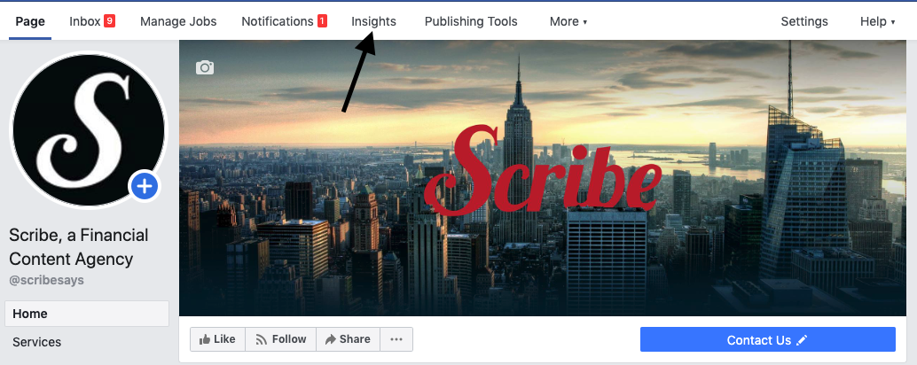 Scribe Insights.png