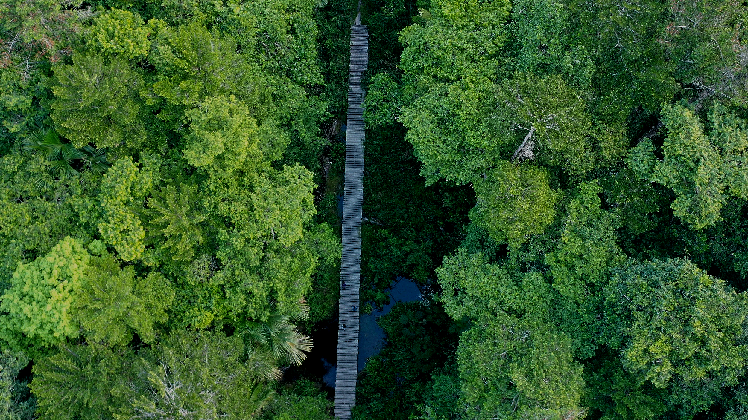 DJI_0653.png