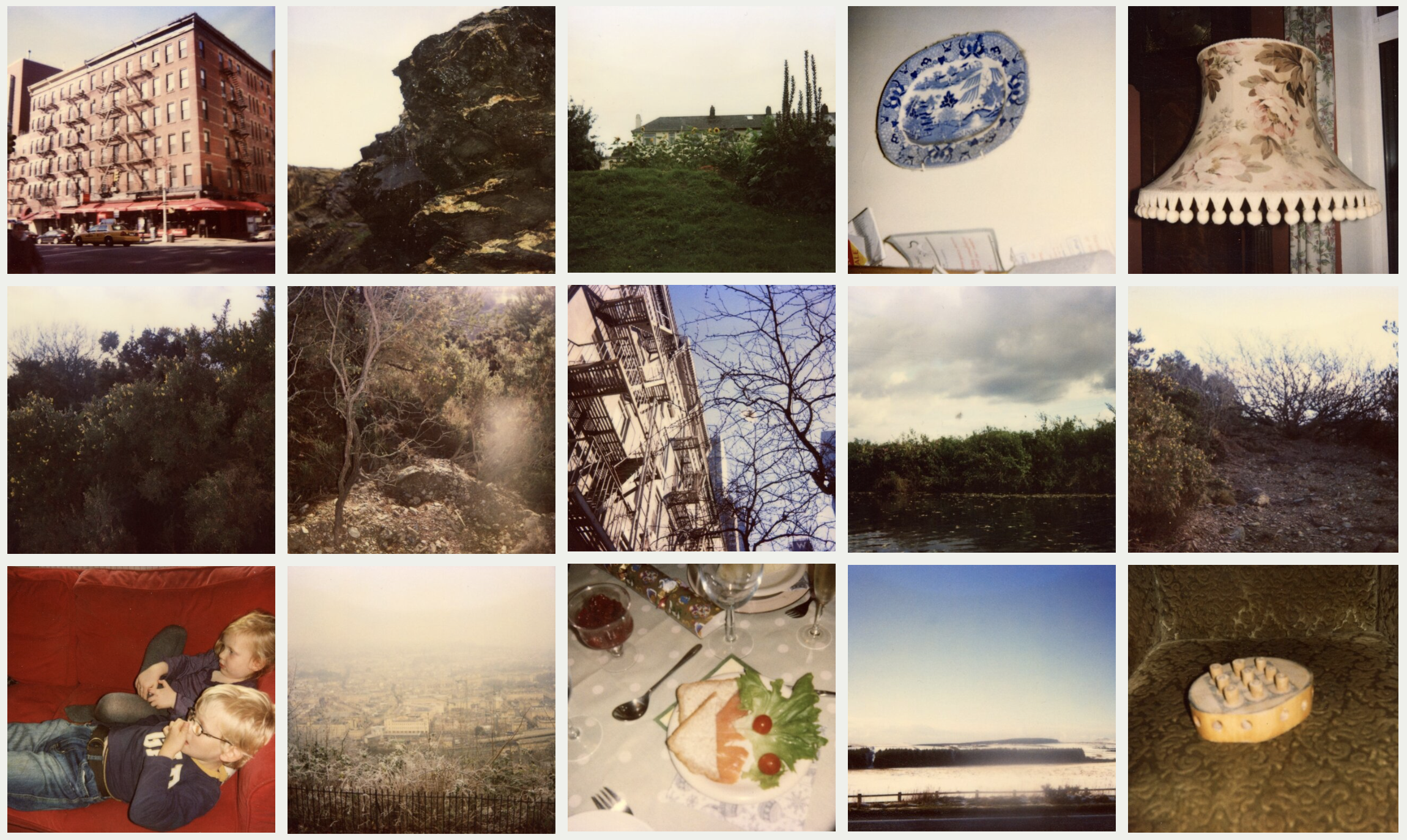   15 Selected Polaroids (Grid)  