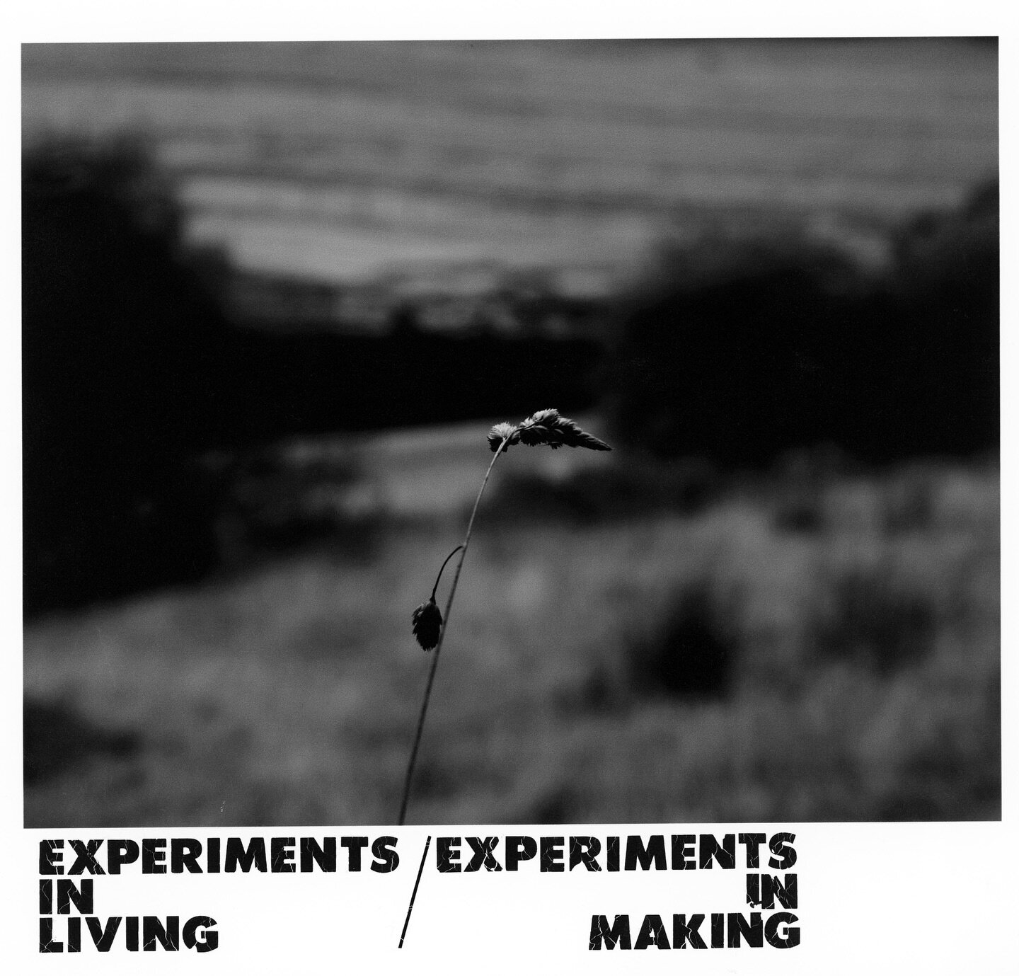 My exhibition titled Experiments in Living / Experiments in Making will be @polyfalmouth from 6-10th February. 

Private view is Tuesday 6th from 17:00-19:00 if you&rsquo;re in the area and want to come along.

#experimentsinliving #experimentsinmaki