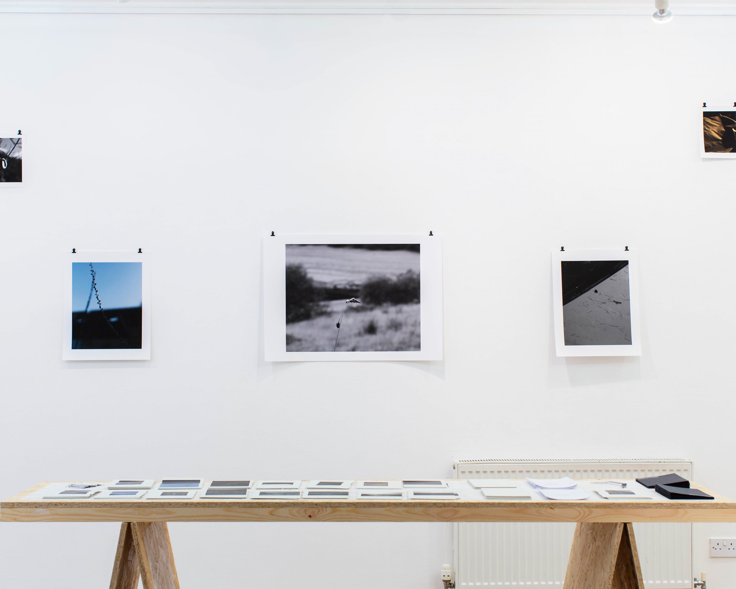   Installation view - The Poly, Falmouth  