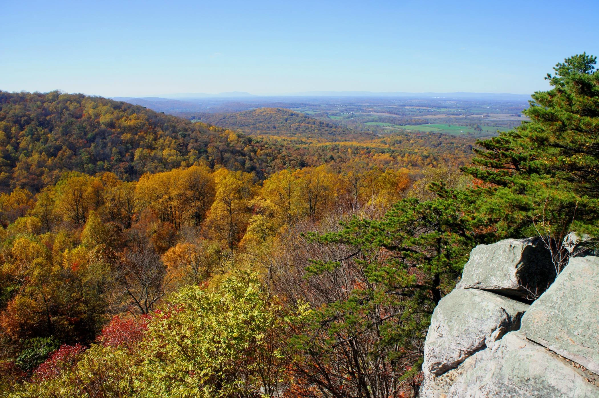 Breathe Your Biome - Silent Hike