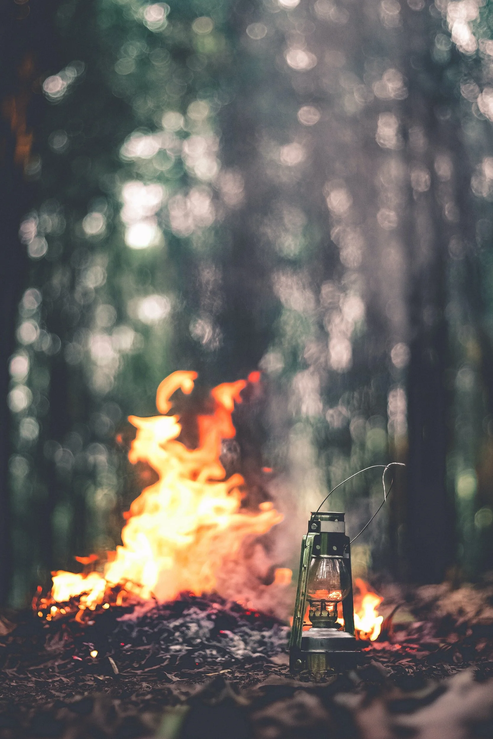 Summer Solstice : Camp Out!