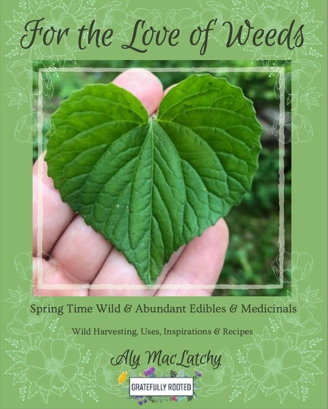 🍃For the Love of Weeds🍃

Did you know that I created an ebook filled with an ✨abundance✨ of weed information?

Weeds tend to get a bad wrap, however, they are incredible little powerhouses that can provide us with so much! 

Every Friday for the ne