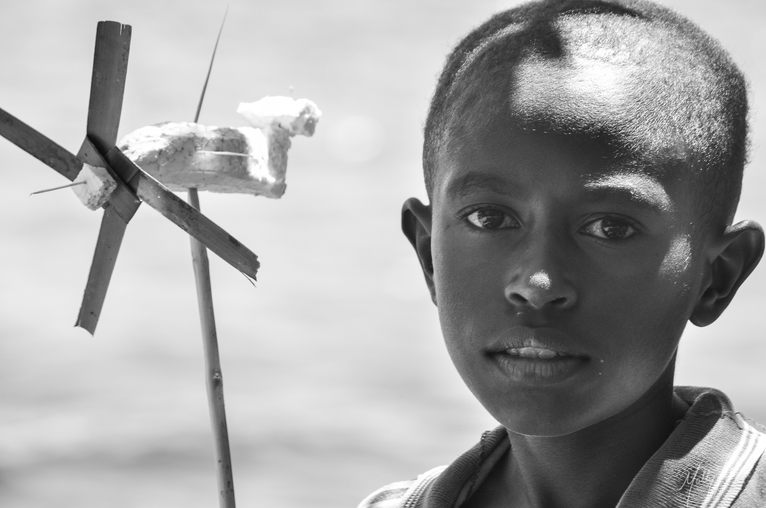 mfelde-0344.jpg